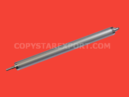 DEVELOPING CYLINDER
